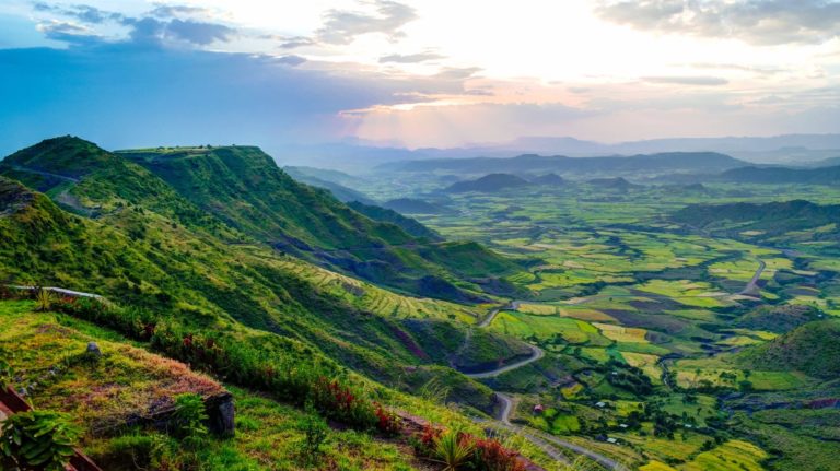 What is Ethiopian Coffee? Everything You Need to Know