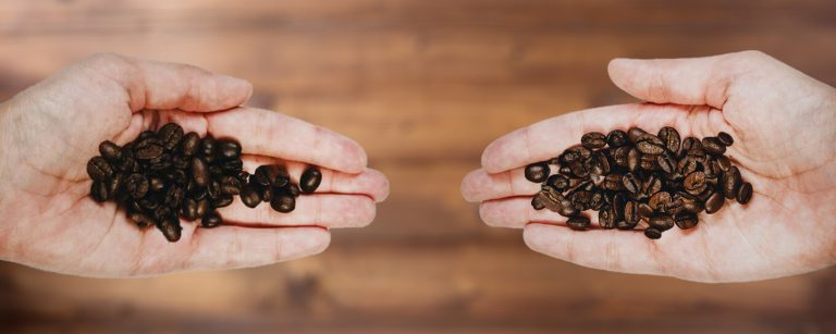 7 Key Differences Between Arabica vs. Robusta Coffee