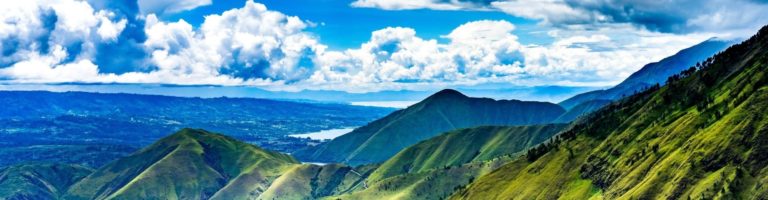 10 Best Sumatra Coffee: Unusual Beans with Extraordinary Flavor