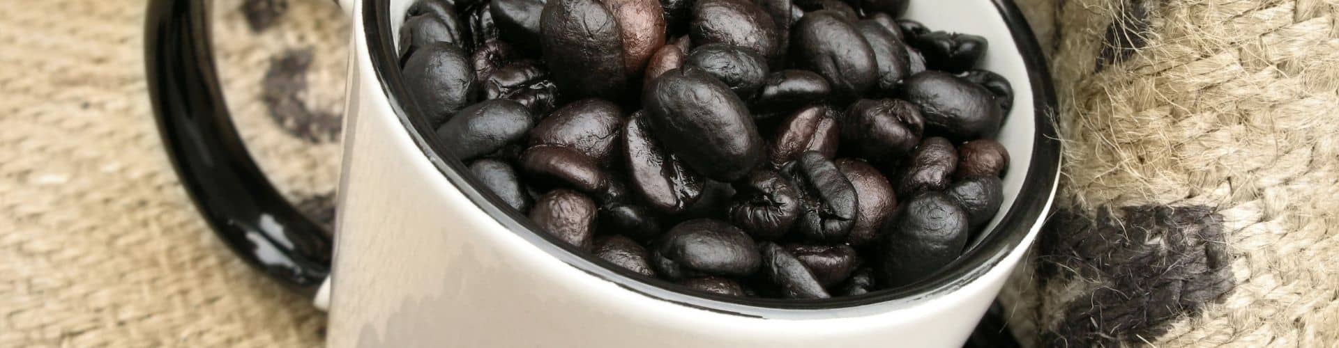 best dark roasts