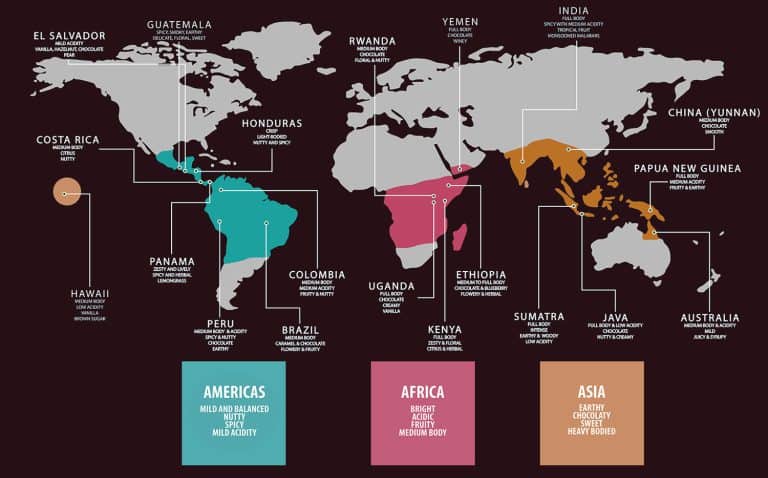 What is the Coffee Bean Belt? All You Need to Know About Where Coffee Plants Grow