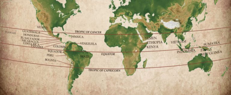 Best Coffee Beans from Around the World
