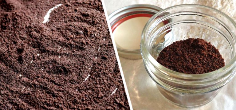 How To Make Espresso Powder The Right Way