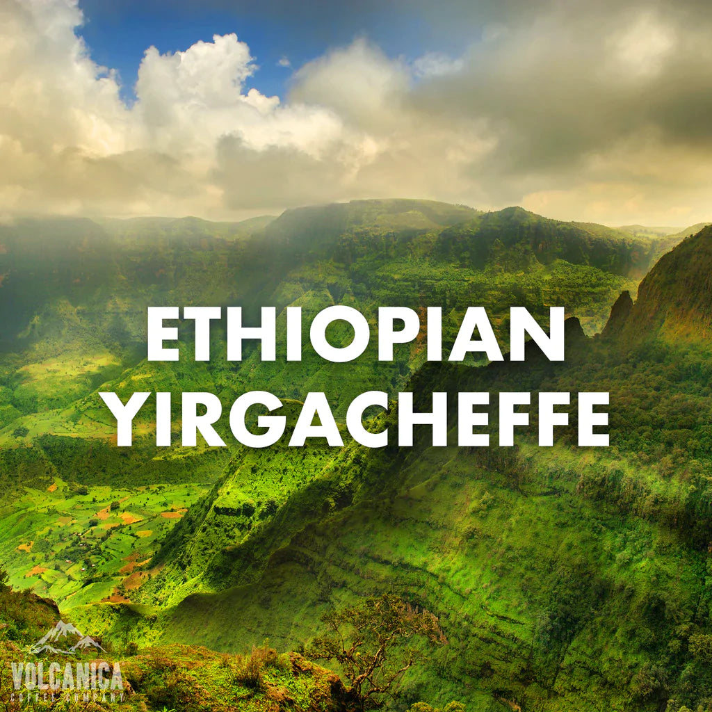 Ethiopian Yirgacheffe Coffee Organic