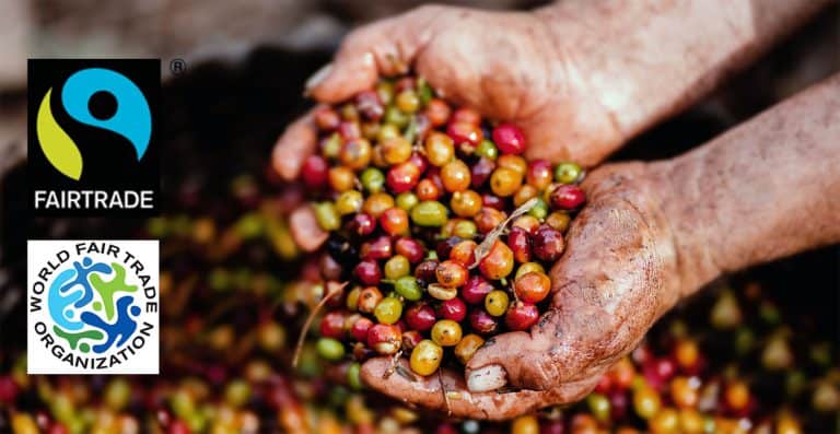 20 Fair Trade Coffee Facts To Think About in 2024