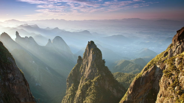 Brazilian Coffee: Everything You Need to Know