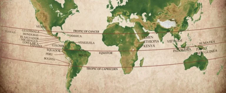 Best Coffee Beans from Around the World