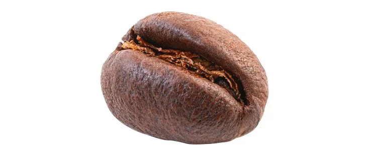 What Are Peaberry Coffee Beans? Getting to Know This Tanzanian Gem